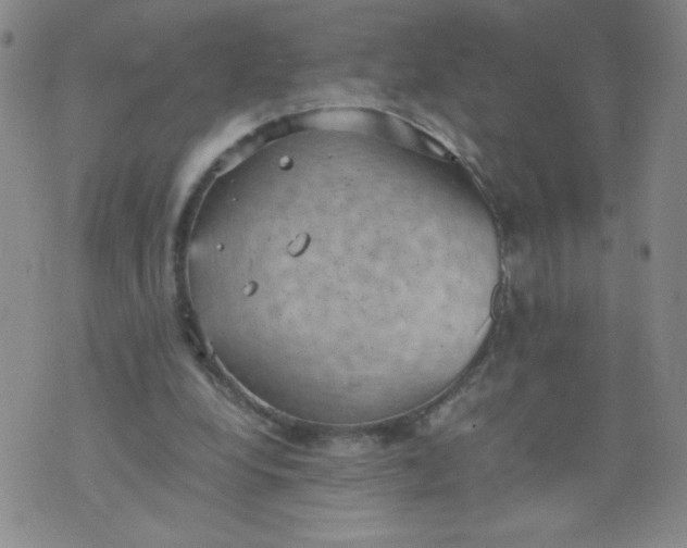 X0000075870248200610062010