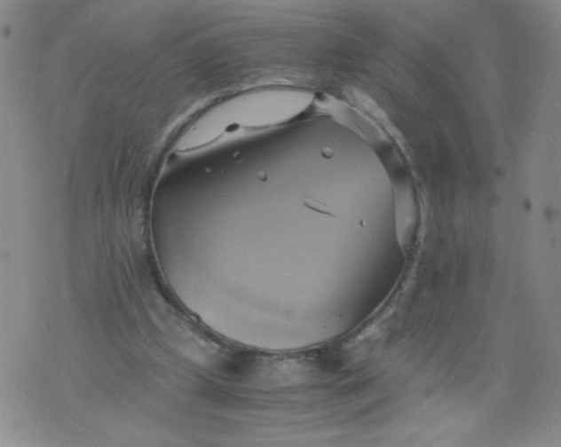 X0000075870249200610062010