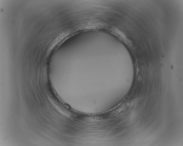 X0000075870250200610062010