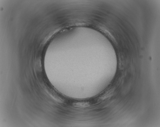 X0000075870251200610062010