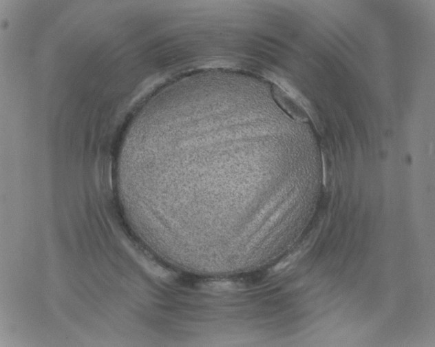 X0000075870253200610062010