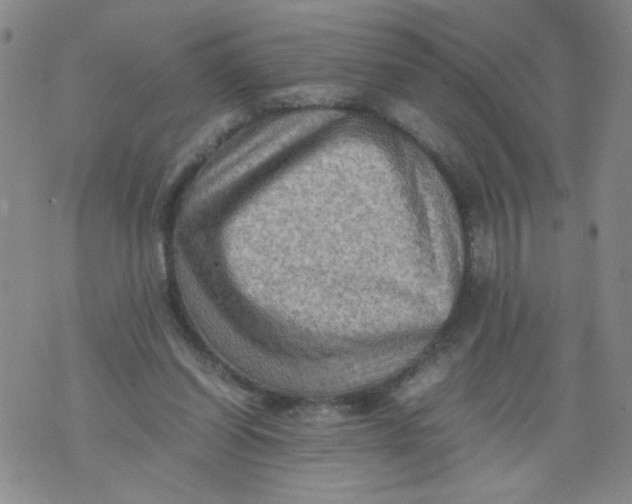 X0000075870254200610062010