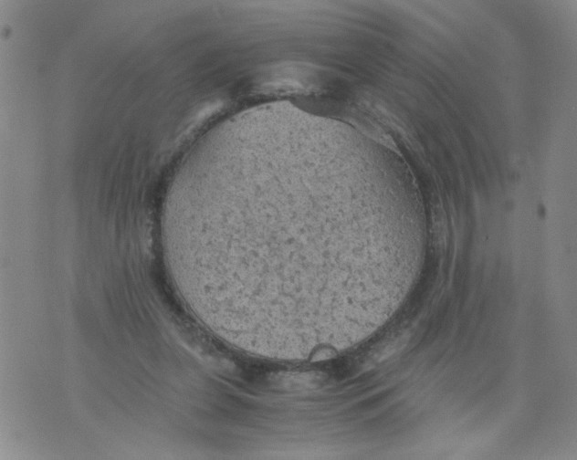 X0000075870255200610062010