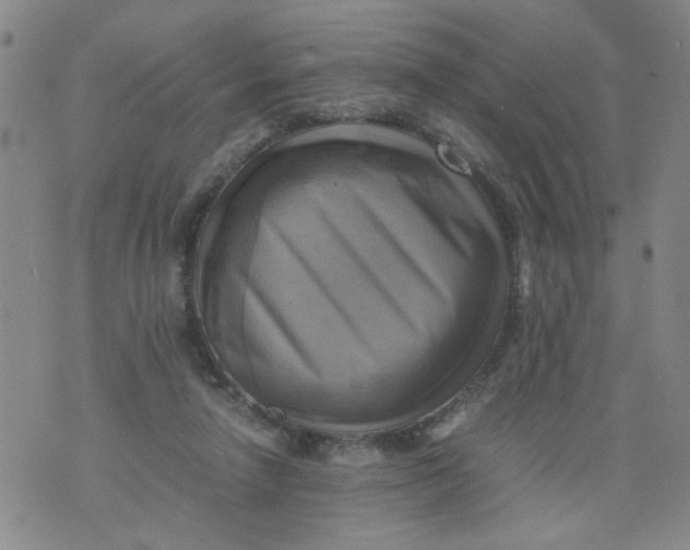 X0000075870258200610062010