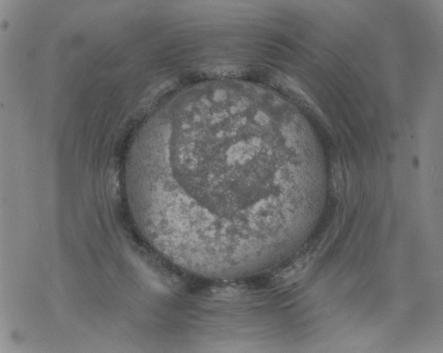 X0000075870259200610062010