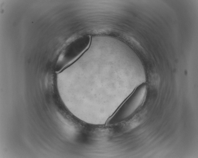 X0000075870260200610062010