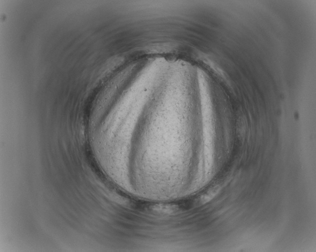 X0000075870261200610062010