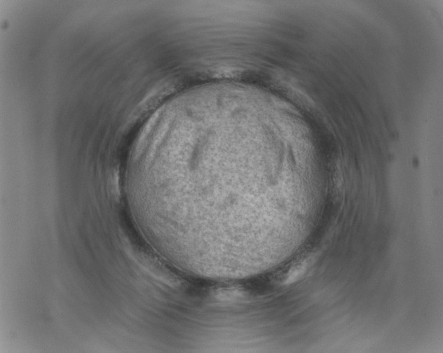 X0000075870262200610062010