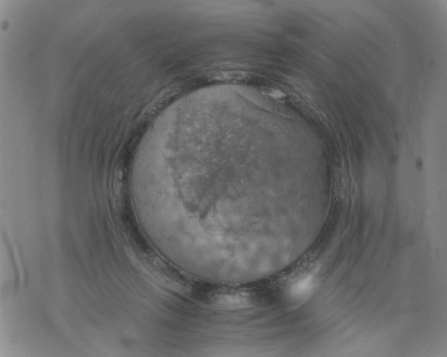 X0000075870263200610062010