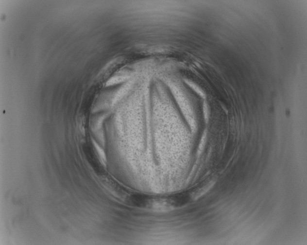 X0000075870264200610062010