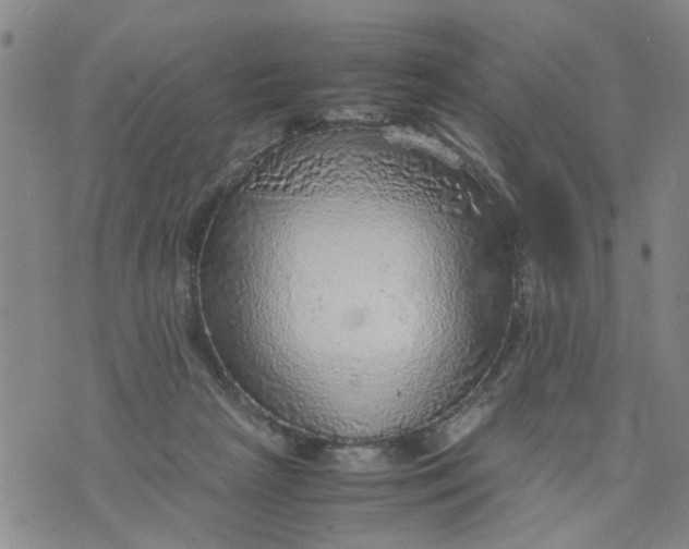 X0000075870265200610062010