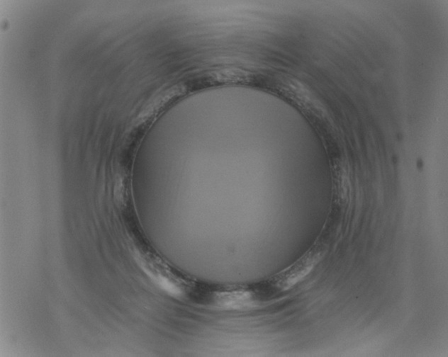 X0000075870266200610062010