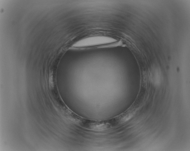 X0000075870267200610062010