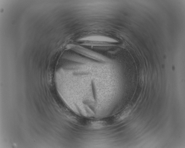 X0000075870268200610062010