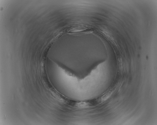 X0000075870269200610062010