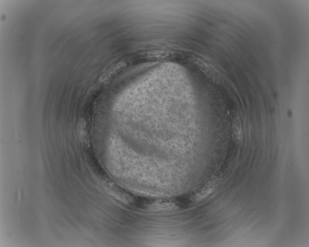 X0000075870270200610062010