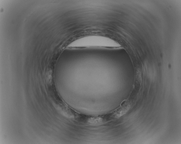 X0000075870271200610062010