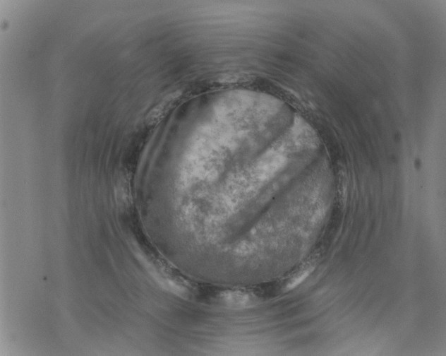 X0000075870272200610062010