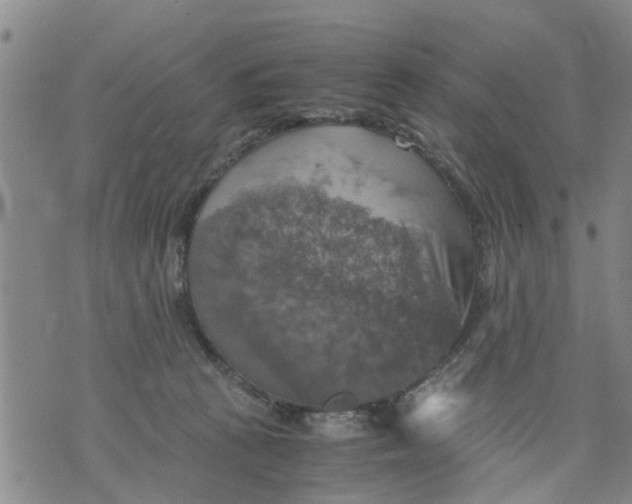 X0000075870273200610062010