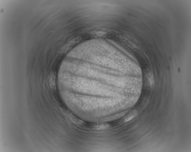 X0000075870274200610062010