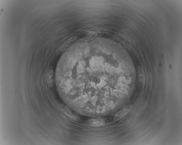 X0000075870275200610062010