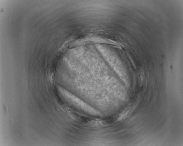 X0000075870276200610062010