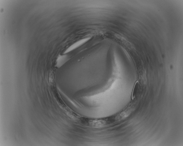 X0000075870277200610062010