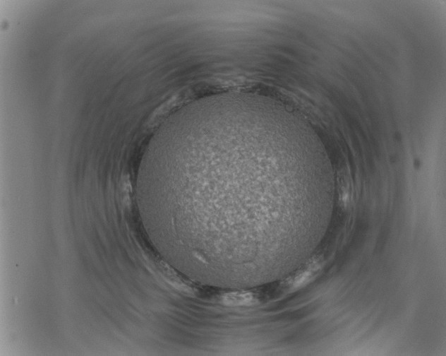 X0000075870279200610062010