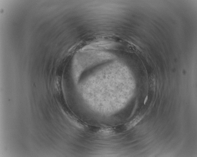 X0000075870280200610062010