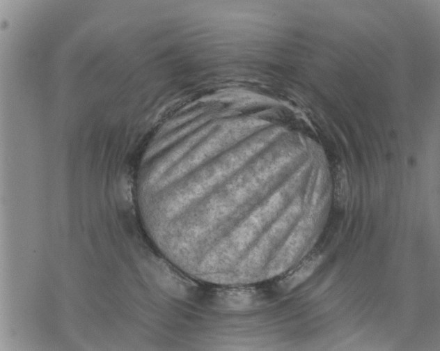 X0000075870282200610062010