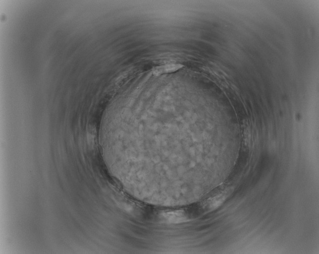 X0000075870283200610062010