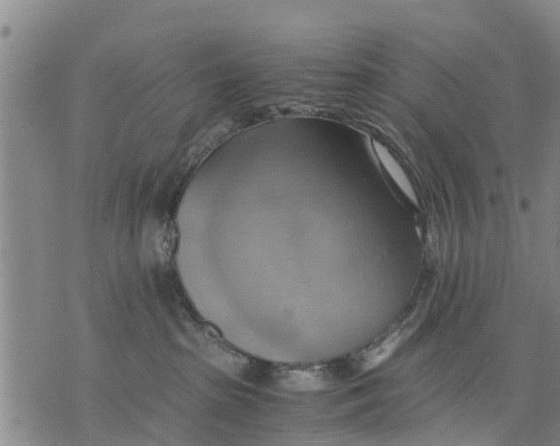 X0000075870285200610062010