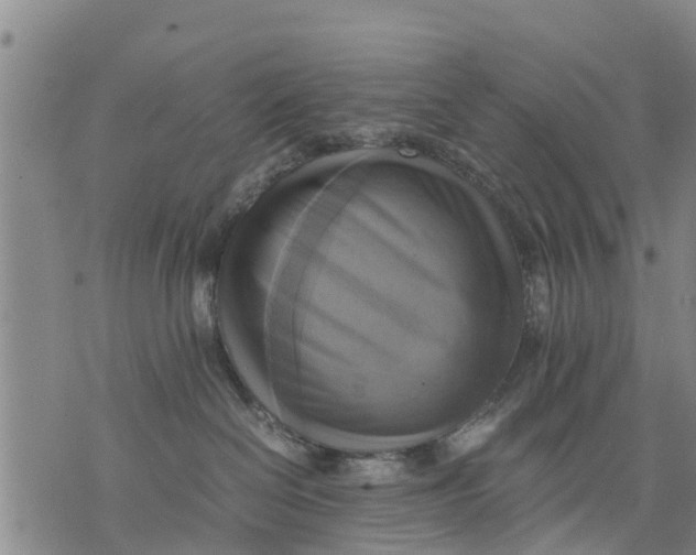 X0000075870286200610062010