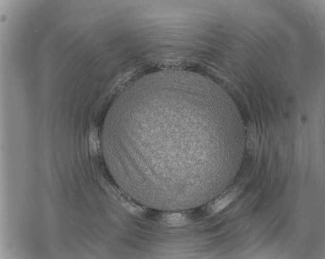 X0000075870287200610062010