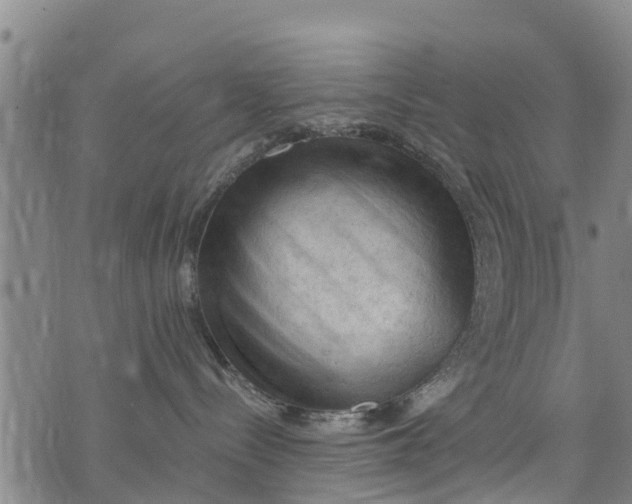 X0000075870288200610062010