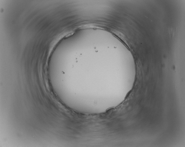 X0000075870289200610062010