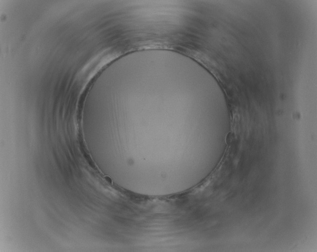 X0000075870290200610062009