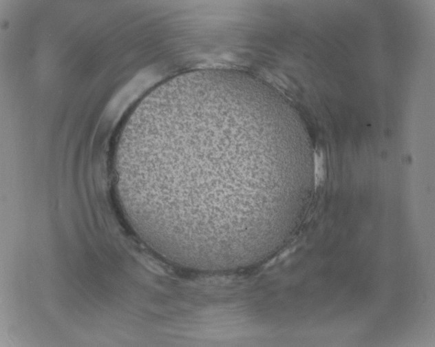 X0000075870291200610062009