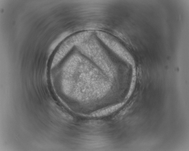 X0000075870292200610062009