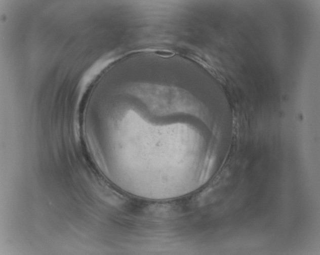 X0000075870294200610062009