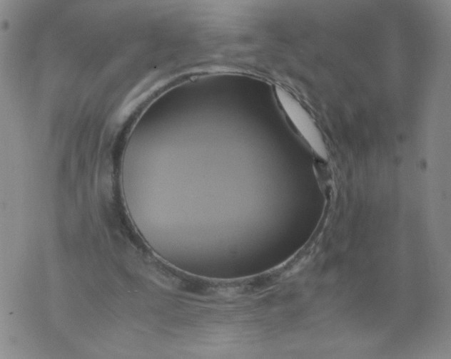 X0000075870295200610062009