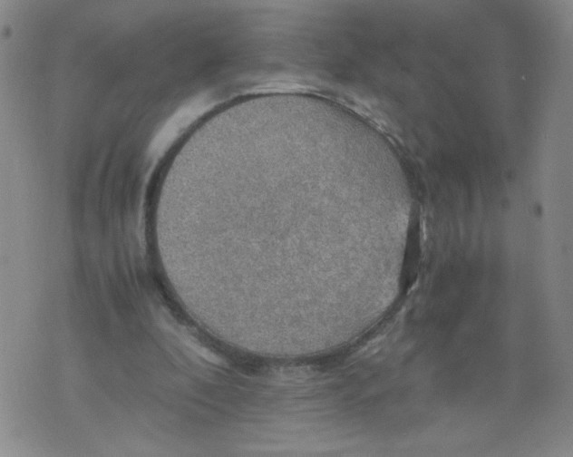 X0000075870296200610062009