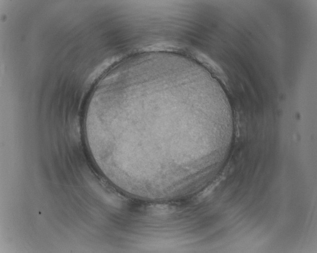 X0000075870298200610062009