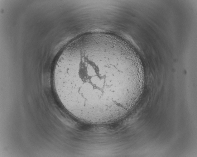 X0000075870299200610062009