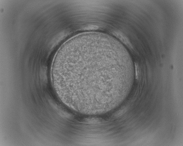 X0000075870300200610062009