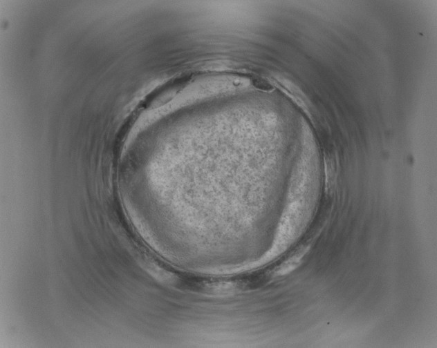 X0000075870301200610062009