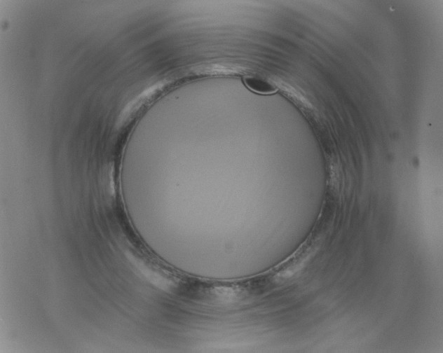 X0000075870302200610062009