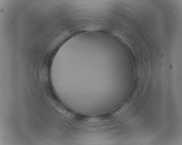 X0000075870303200610062009