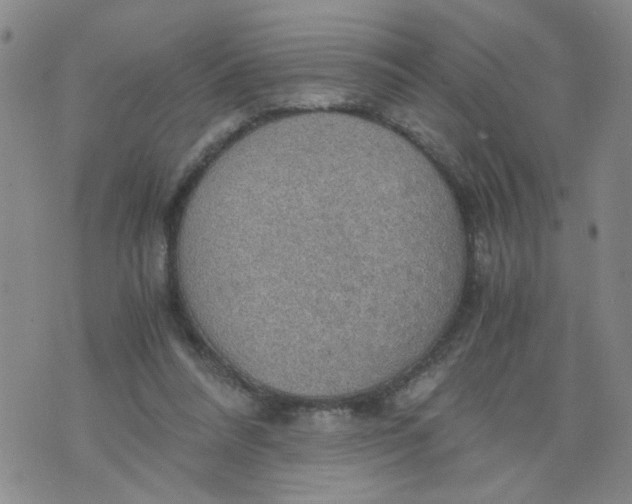 X0000075870304200610062009