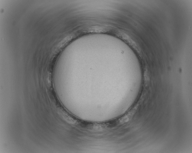 X0000075870305200610062009